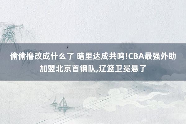 偷偷撸改成什么了 暗里达成共鸣!CBA最强外助加盟北京首钢队，辽篮卫冕悬了