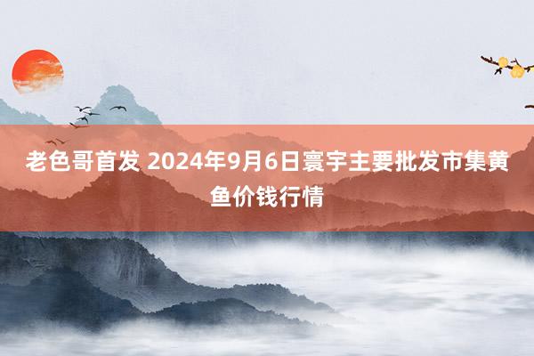 老色哥首发 2024年9月6日寰宇主要批发市集黄鱼价钱行情