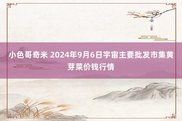 小色哥奇米 2024年9月6日宇宙主要批发市集黄芽菜价钱行情