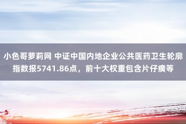 小色哥萝莉网 中证中国内地企业公共医药卫生轮廓指数报5741.86点，前十大权重包含片仔癀等