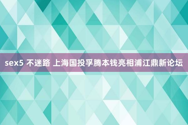 sex5 不迷路 上海国投孚腾本钱亮相浦江鼎新论坛