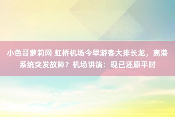 小色哥萝莉网 虹桥机场今早游客大排长龙，离港系统突发故障？机场讲演：现已还原平时