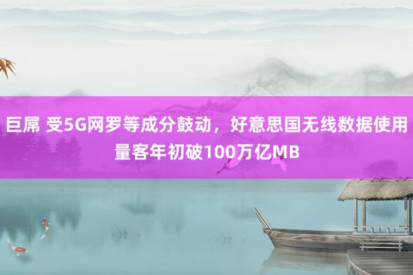 巨屌 受5G网罗等成分鼓动，好意思国无线数据使用量客年初破100万亿MB