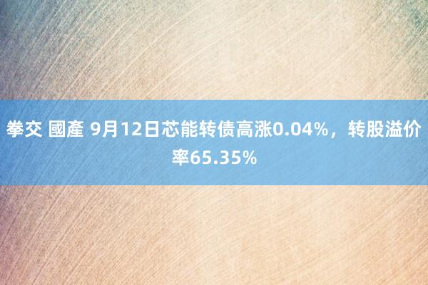 拳交 國產 9月12日芯能转债高涨0.04%，转股溢价率65.35%