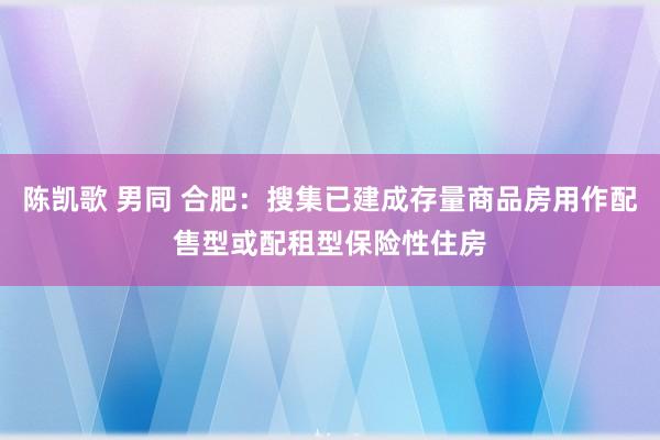 陈凯歌 男同 合肥：搜集已建成存量商品房用作配售型或配租型保险性住房