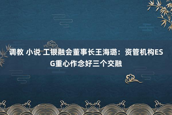 调教 小说 工银融会董事长王海璐：资管机构ESG重心作念好三个交融