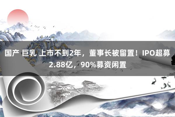 国产 巨乳 上市不到2年，董事长被留置！IPO超募2.88亿，90%募资闲置