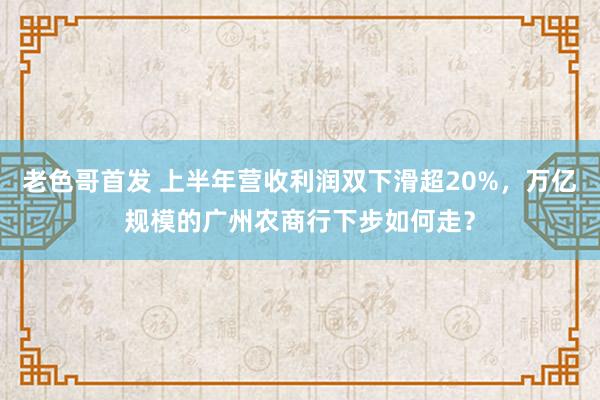 老色哥首发 上半年营收利润双下滑超20%，万亿规模的广州农商行下步如何走？