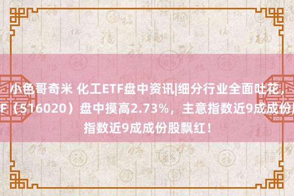 小色哥奇米 化工ETF盘中资讯|细分行业全面吐花，化工ETF（516020）盘中摸高2.73%，主意指数近9成成份股飘红！