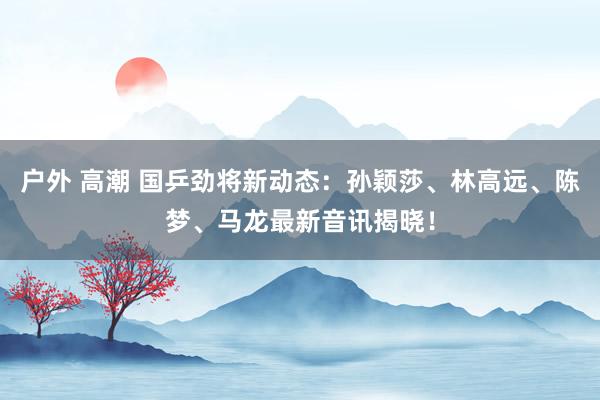 户外 高潮 国乒劲将新动态：孙颖莎、林高远、陈梦、马龙最新音讯揭晓！