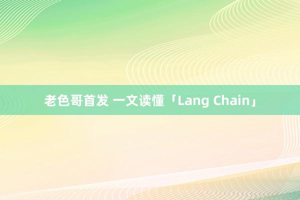 老色哥首发 一文读懂「Lang Chain」