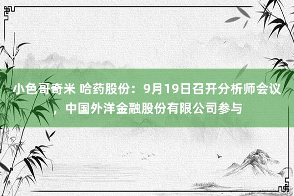 小色哥奇米 哈药股份：9月19日召开分析师会议，中国外洋金融股份有限公司参与