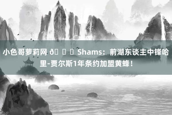 小色哥萝莉网 👀Shams：前湖东谈主中锋哈里-贾尔斯1年条约加盟黄蜂！