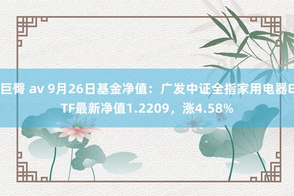 巨臀 av 9月26日基金净值：广发中证全指家用电器ETF最新净值1.2209，涨4.58%