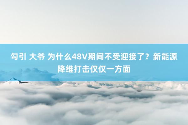 勾引 大爷 为什么48V期间不受迎接了？新能源降维打击仅仅一方面