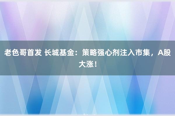 老色哥首发 长城基金：策略强心剂注入市集，A股大涨！