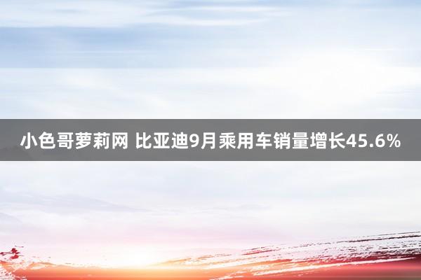 小色哥萝莉网 比亚迪9月乘用车销量增长45.6%