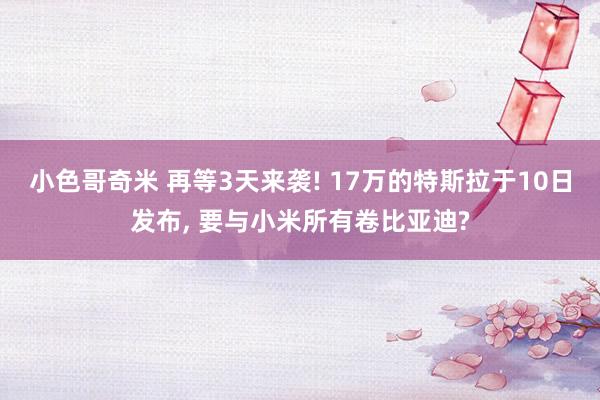 小色哥奇米 再等3天来袭! 17万的特斯拉于10日发布， 要与小米所有卷比亚迪?