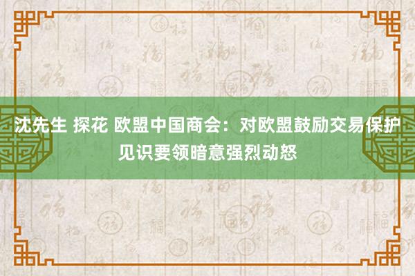 沈先生 探花 欧盟中国商会：对欧盟鼓励交易保护见识要领暗意强烈动怒