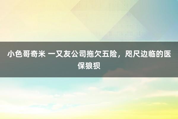 小色哥奇米 一又友公司拖欠五险，咫尺边临的医保狼狈