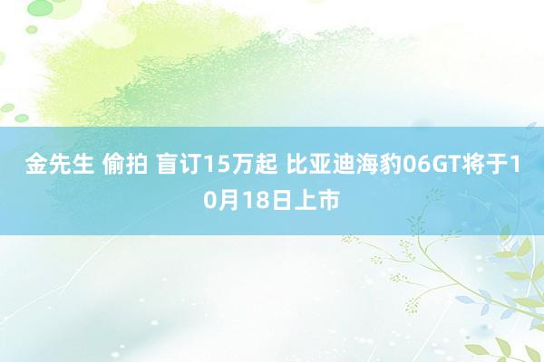 金先生 偷拍 盲订15万起 比亚迪海豹06GT将于10月18日上市