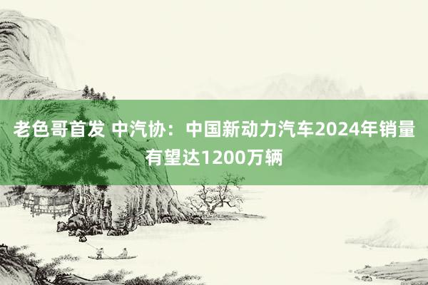 老色哥首发 中汽协：中国新动力汽车2024年销量有望达1200万辆