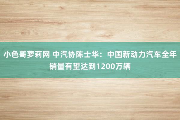 小色哥萝莉网 中汽协陈士华：中国新动力汽车全年销量有望达到1200万辆