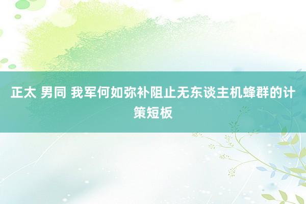 正太 男同 我军何如弥补阻止无东谈主机蜂群的计策短板