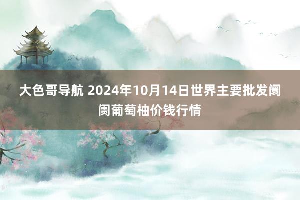 大色哥导航 2024年10月14日世界主要批发阛阓葡萄柚价钱行情