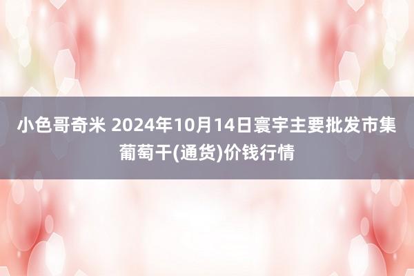 小色哥奇米 2024年10月14日寰宇主要批发市集葡萄干(通货)价钱行情