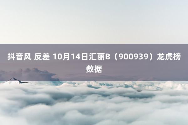 抖音风 反差 10月14日汇丽B（900939）龙虎榜数据