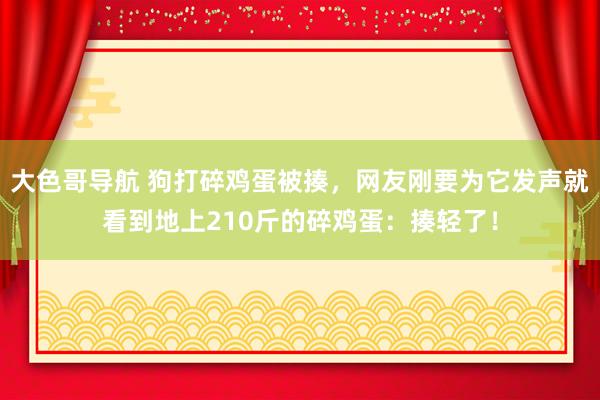 大色哥导航 狗打碎鸡蛋被揍，网友刚要为它发声就看到地上210斤的碎鸡蛋：揍轻了！