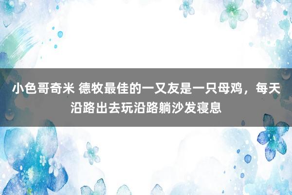 小色哥奇米 德牧最佳的一又友是一只母鸡，每天沿路出去玩沿路躺沙发寝息