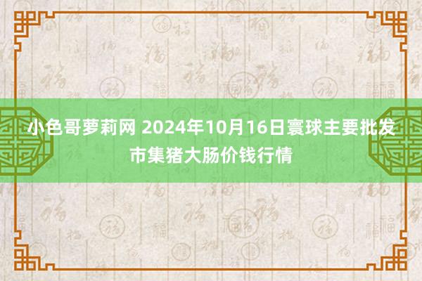 小色哥萝莉网 2024年10月16日寰球主要批发市集猪大肠价钱行情