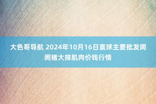 大色哥导航 2024年10月16日寰球主要批发阛阓猪大排肌肉价钱行情