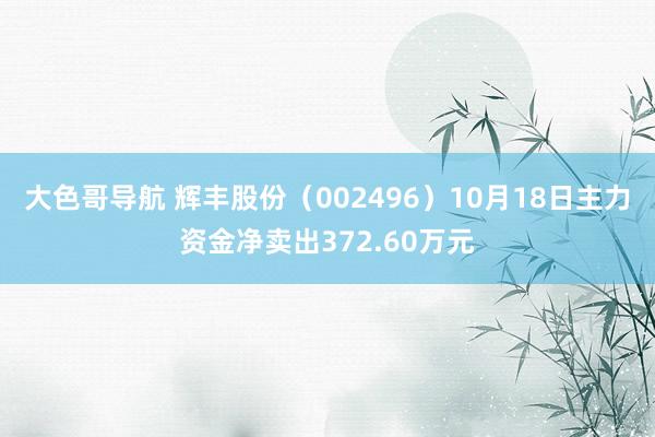 大色哥导航 辉丰股份（002496）10月18日主力资金净卖出372.60万元