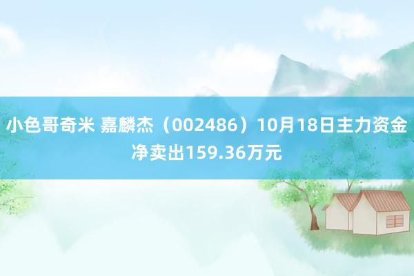 小色哥奇米 嘉麟杰（002486）10月18日主力资金净卖出159.36万元