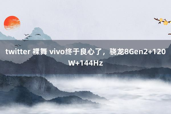 twitter 裸舞 vivo终于良心了，骁龙8Gen2+120W+144Hz