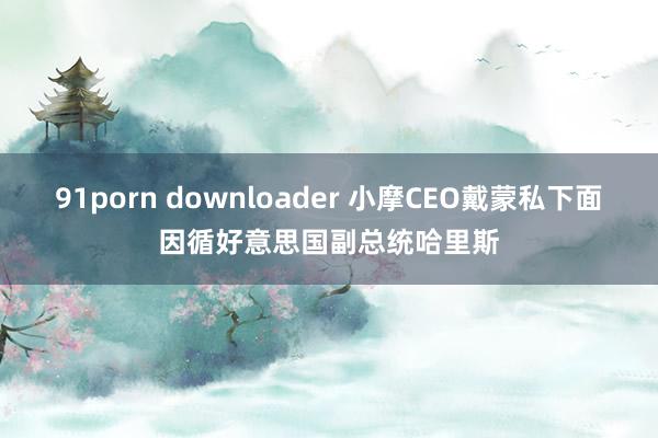 91porn downloader 小摩CEO戴蒙私下面因循好意思国副总统哈里斯