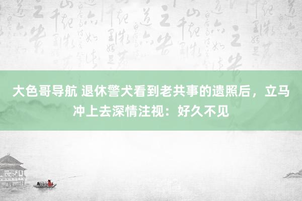 大色哥导航 退休警犬看到老共事的遗照后，立马冲上去深情注视：好久不见