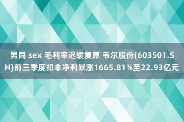 男同 sex 毛利率迟缓复原 韦尔股份(603501.SH)前三季度扣非净利暴涨1665.81%至22.93亿元