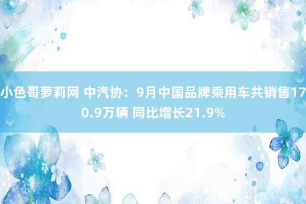 小色哥萝莉网 中汽协：9月中国品牌乘用车共销售170.9万辆 同比增长21.9%