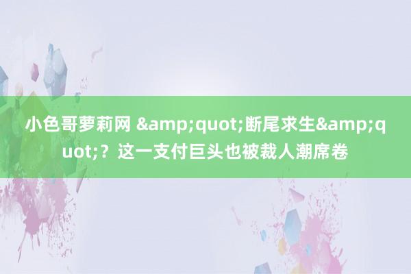 小色哥萝莉网 &quot;断尾求生&quot;？这一支付巨头也被裁人潮席卷