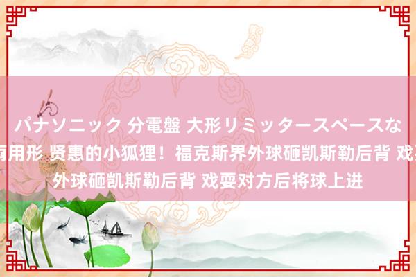 パナソニック 分電盤 大形リミッタースペースなし 露出・半埋込両用形 贤惠的小狐狸！福克斯界外球砸凯斯勒后背 戏耍对方后将球上进