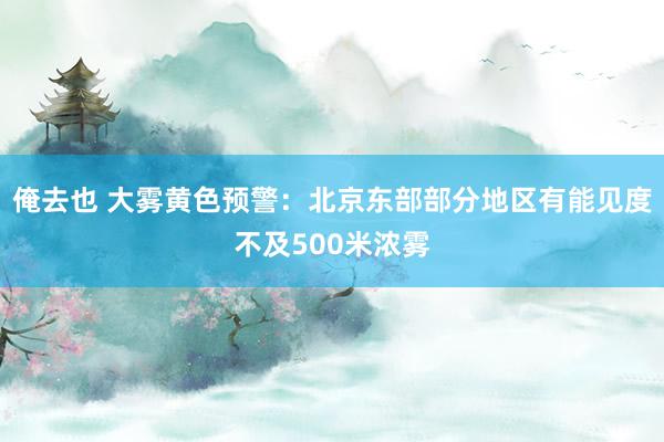 俺去也 大雾黄色预警：北京东部部分地区有能见度不及500米浓雾