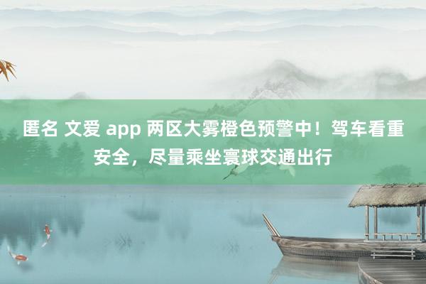 匿名 文爱 app 两区大雾橙色预警中！驾车看重安全，尽量乘坐寰球交通出行