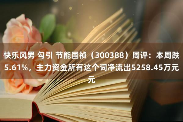 快乐风男 勾引 节能国祯（300388）周评：本周跌5.61%，主力资金所有这个词净流出5258.45万元