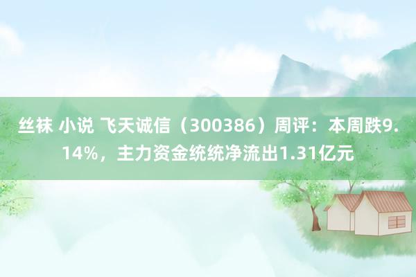 丝袜 小说 飞天诚信（300386）周评：本周跌9.14%，主力资金统统净流出1.31亿元