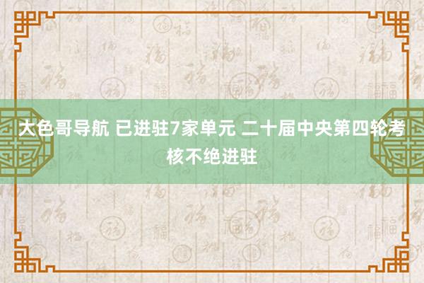 大色哥导航 已进驻7家单元 二十届中央第四轮考核不绝进驻