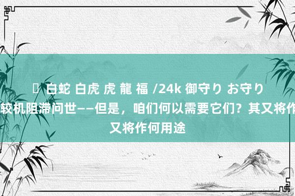 ✨白蛇 白虎 虎 龍 福 /24k 御守り お守り 量子计较机阻滞问世——但是，咱们何以需要它们？其又将作何用途